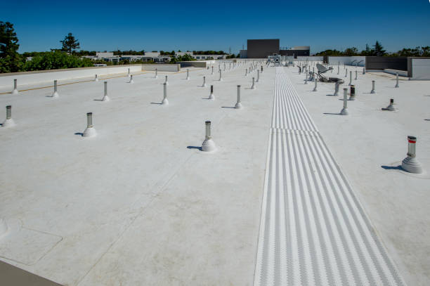 Best Steel Roofing  in Harahan, LA